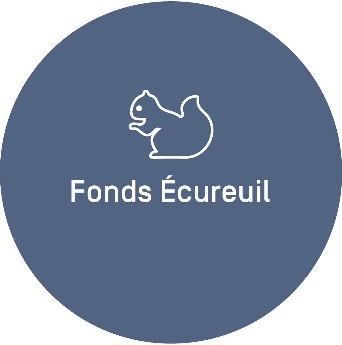 Fonds écureuil
